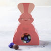 Tavşan Kutu Çikolata resmi